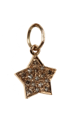 Star of My Life Charm